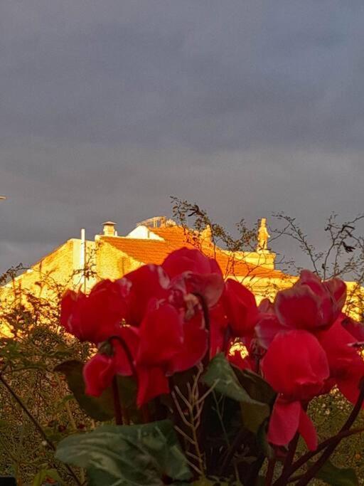 At The Foot Of Acropolis. Villa Atina Dış mekan fotoğraf