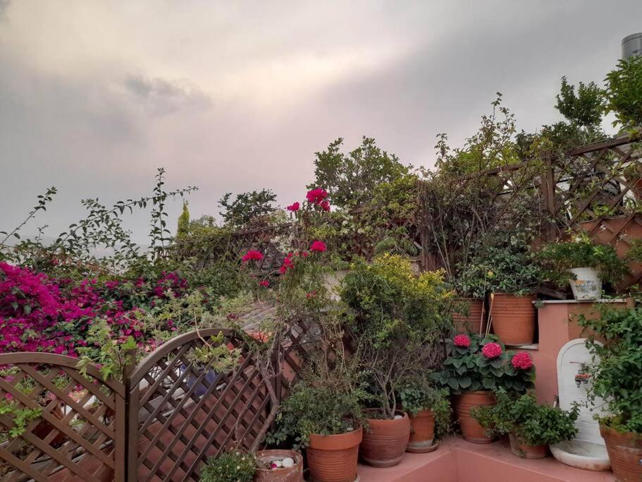 At The Foot Of Acropolis. Villa Atina Dış mekan fotoğraf